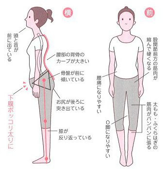 背骨の圧迫力を加えてるのが筋肉や筋膜